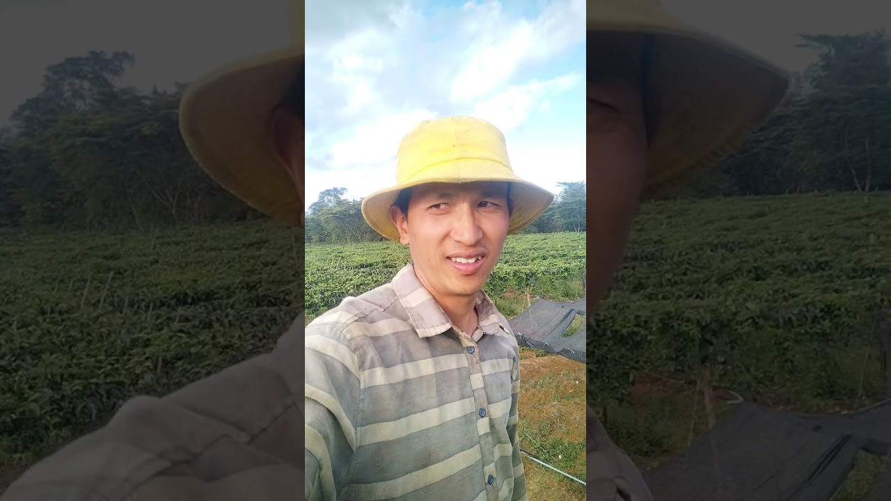 Nông nghiệp tại Lào cực hấp dẫn và còn có cơ hội làm giàu.