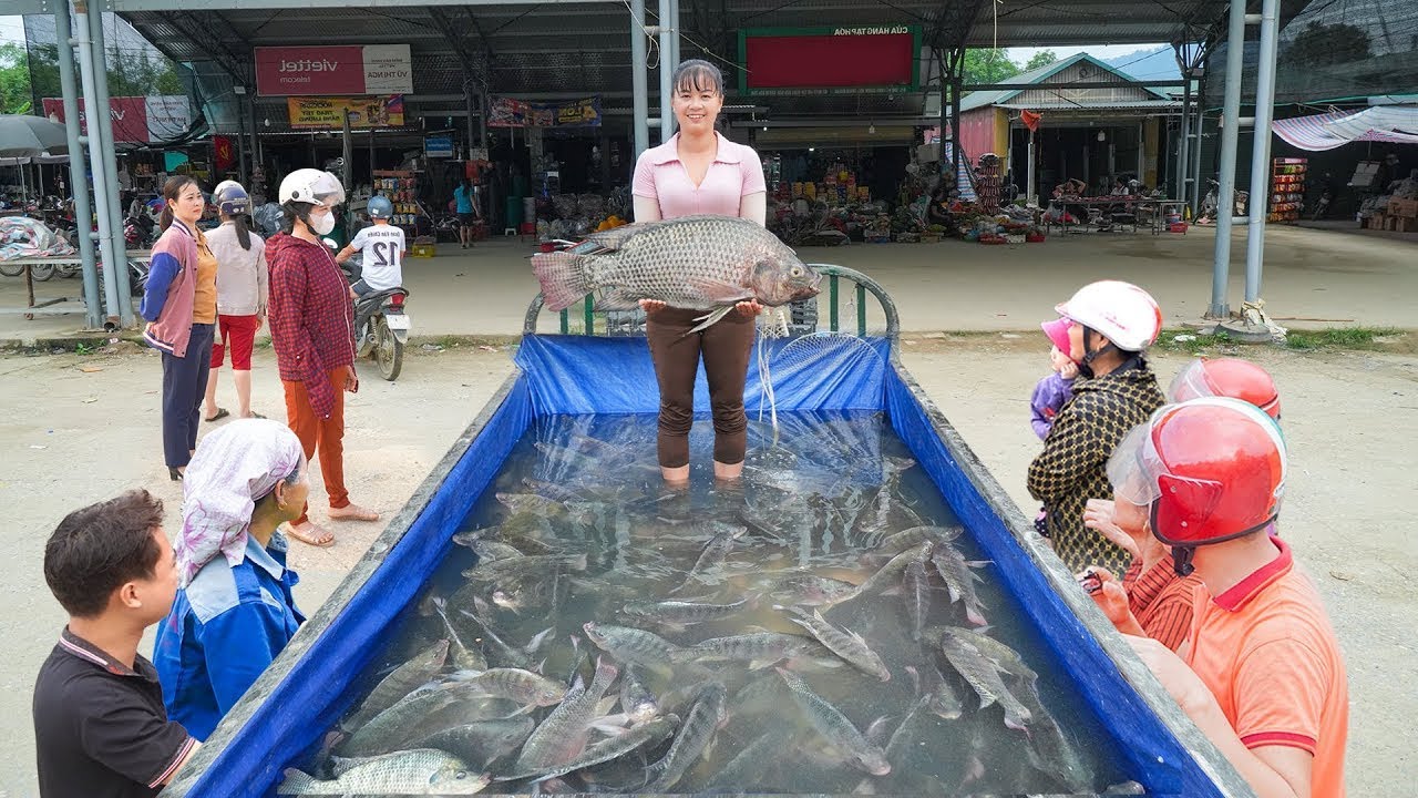 Dragging Nets for a Big Fish Harvest and Delivering the Catch to Market by Three-Wheeled Truck