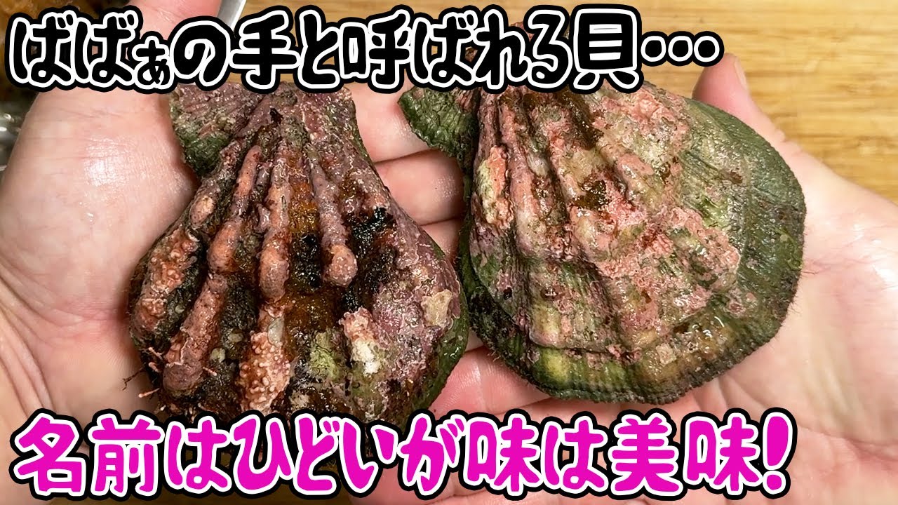 ばばぁの手と呼ばれる貝…名前はひどいが味は美味