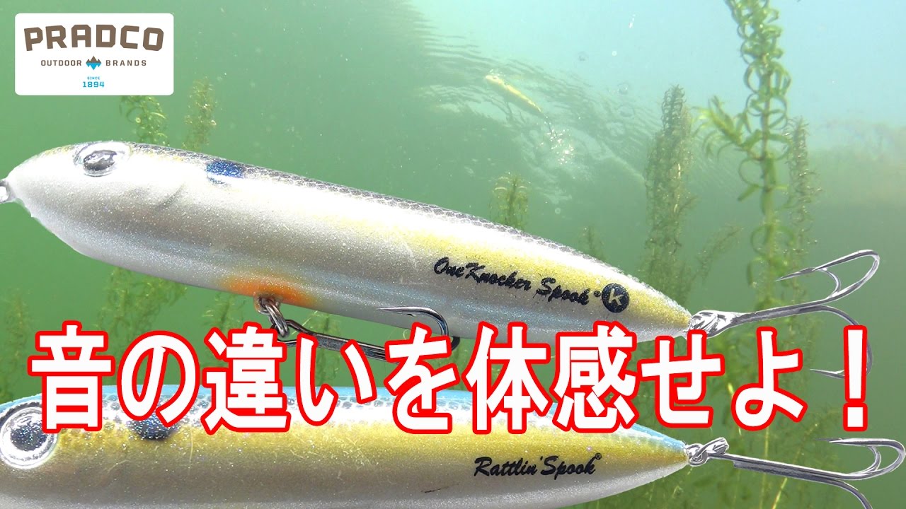 ジャラジャラとコトコトのザラ　音の違いを体感せよ　プラドコTVバス釣り動画　ZARASPOOK