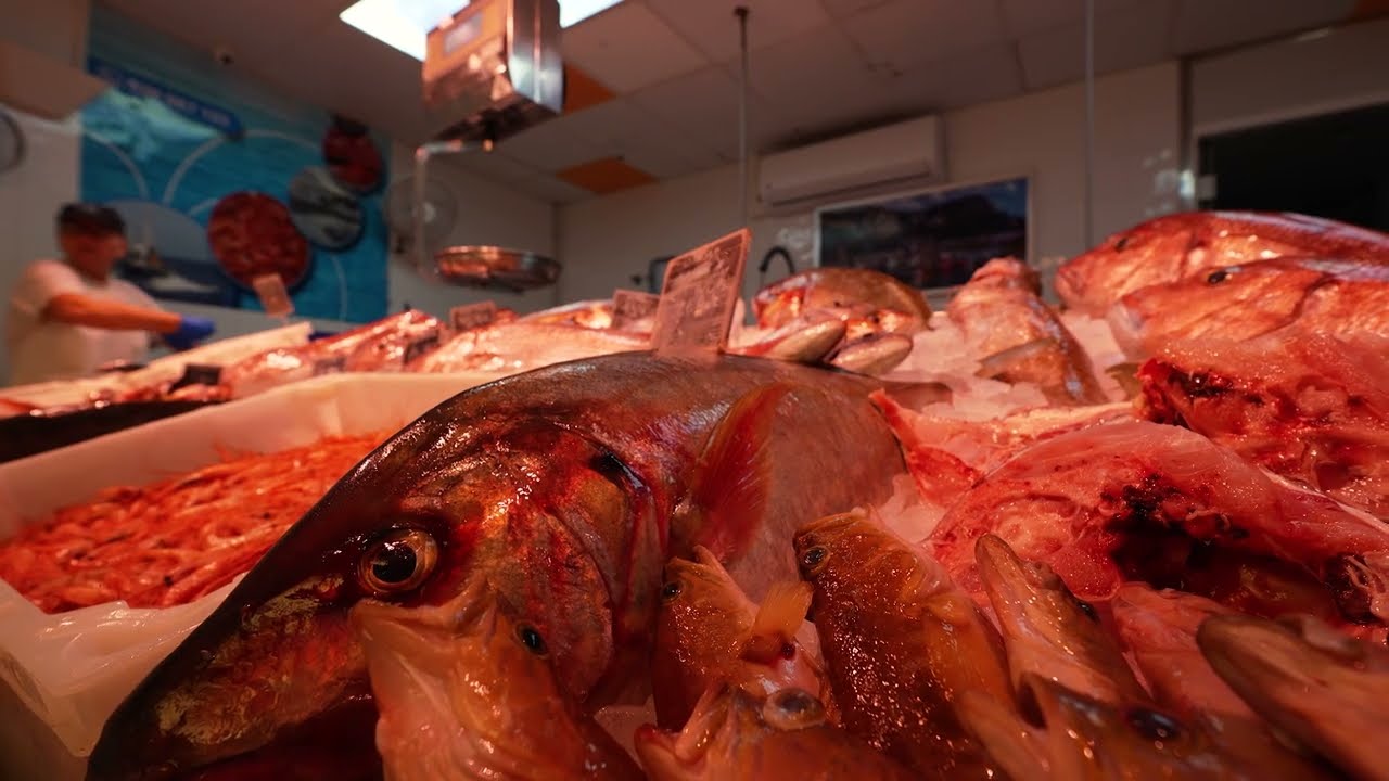 11 COFRADIA PESCADORES