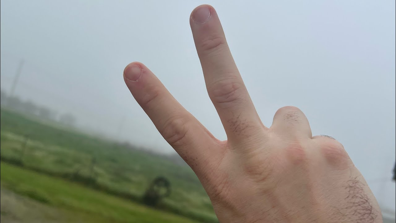 Part 2 of my foggy story time. Tuesday 1/20/26
