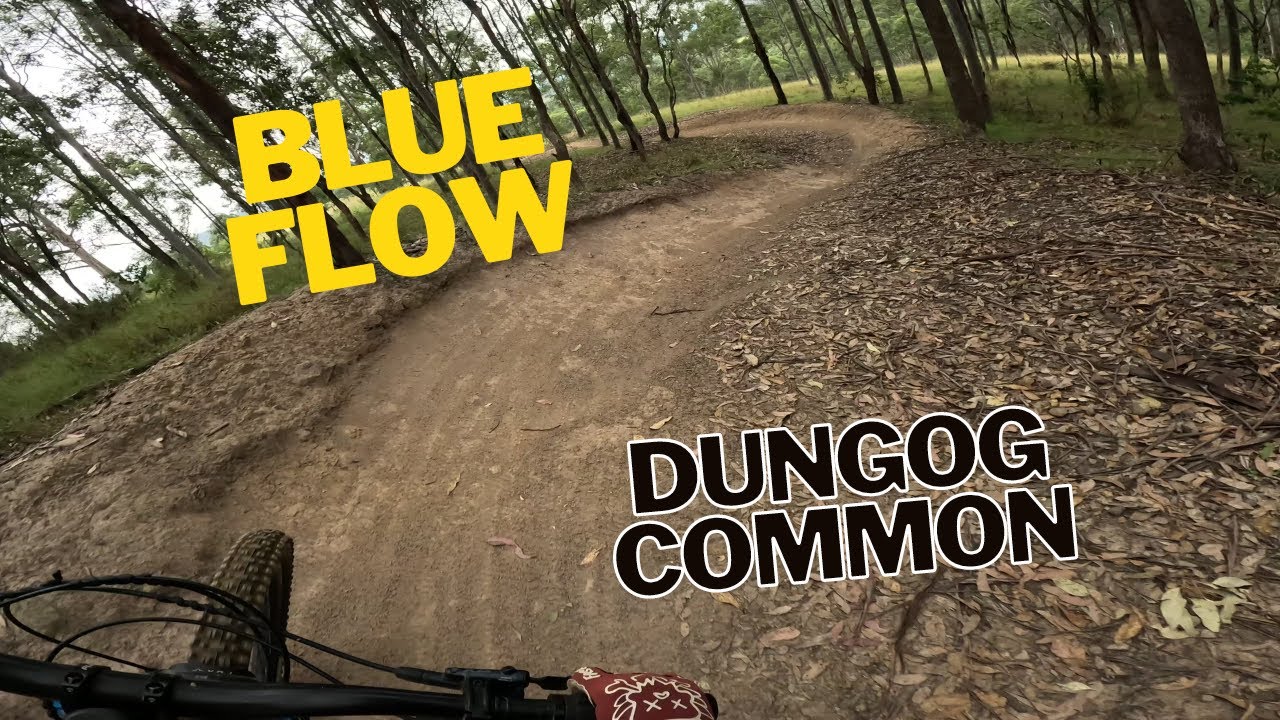 Dungog Common | Blue Flow
