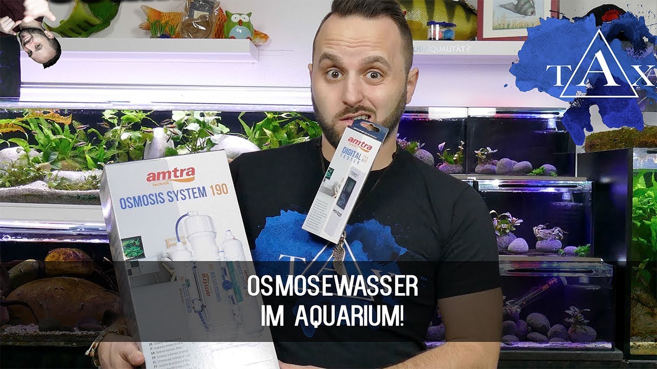 OSMOSEWASSER im AQUARIUM! /TAX