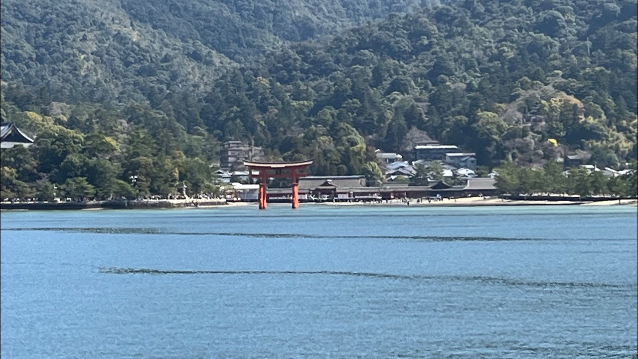 Last day at Hiroshima | japan travel vlogs | Miyajima bullet train japanese wedding and much more