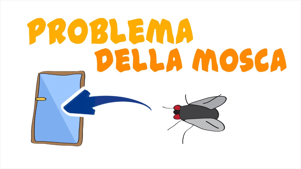 Il problema della mosca che sbatte contro il vetro della finestra