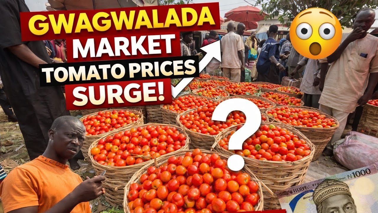 Gwagwalada Market Food Prices Today | Rice, Beans, Yam & Tomatoes (2026)