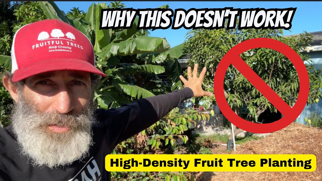 Why High Density Fruit Tree Planting Doesn&rsquo;t Work Long Term