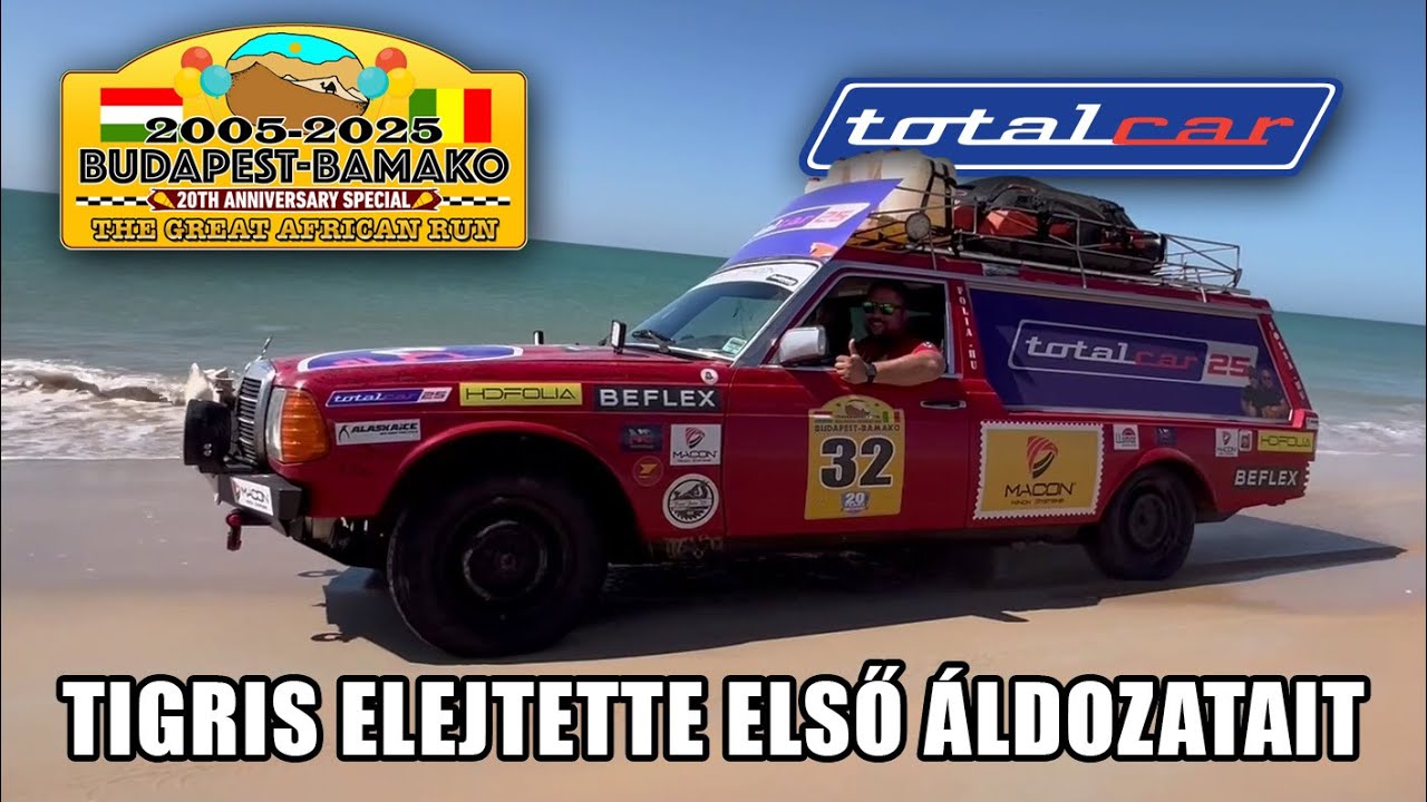 Tigris elejtette első áldozatait: egy tevét és egy féltengelyt  – TC Bamako 2025/8