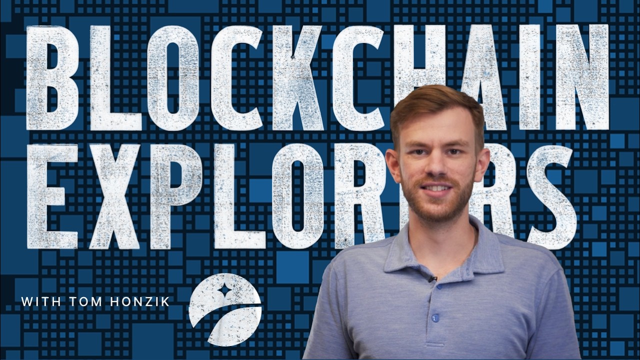 How to search for bitcoin transactions on the blockchain