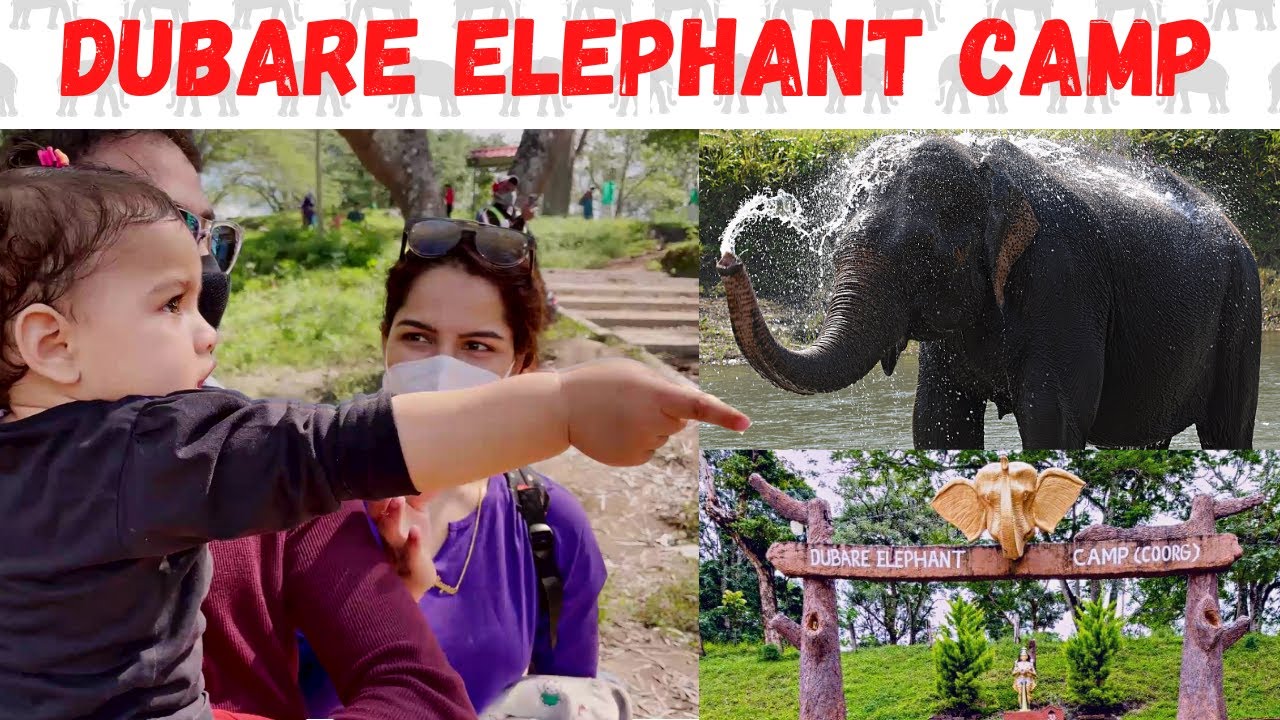 Alayna Ne 1st time Haathi Dekha | Dubare Elephant Camp | Coorg Wilderness Resort |Shikha Singh Vlogs
