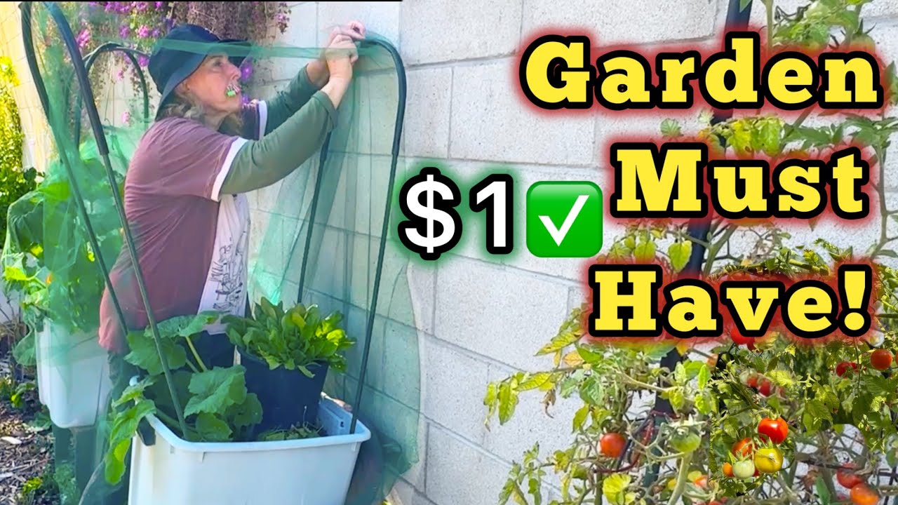 A Life SAVER Grows Tons of Vegetables Fruits & Plants in the Garden Pest Free * Container Gardening