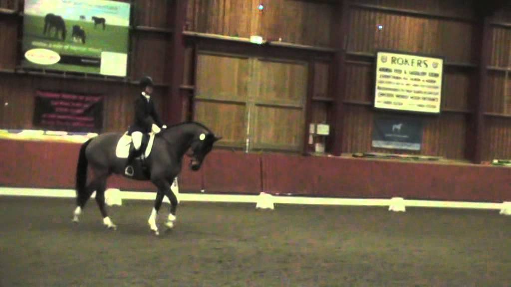 Mi Amigo / Sara-Jane Lanning Elementary Freestyle to Music