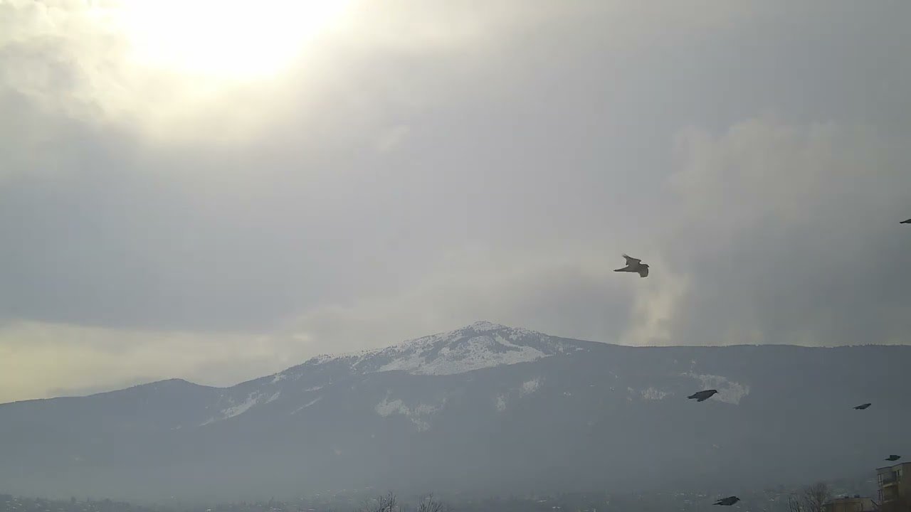 Sky Timelapse 04-Feb-2026 (13:54:32) [FULL HD]