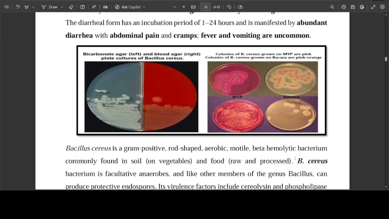 محاضرة كيمياء 2 و 3  الجزء الثاني للمرحلة رابعة