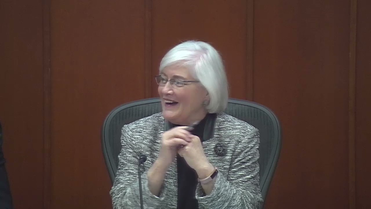 Environment Committee 1-9-2018