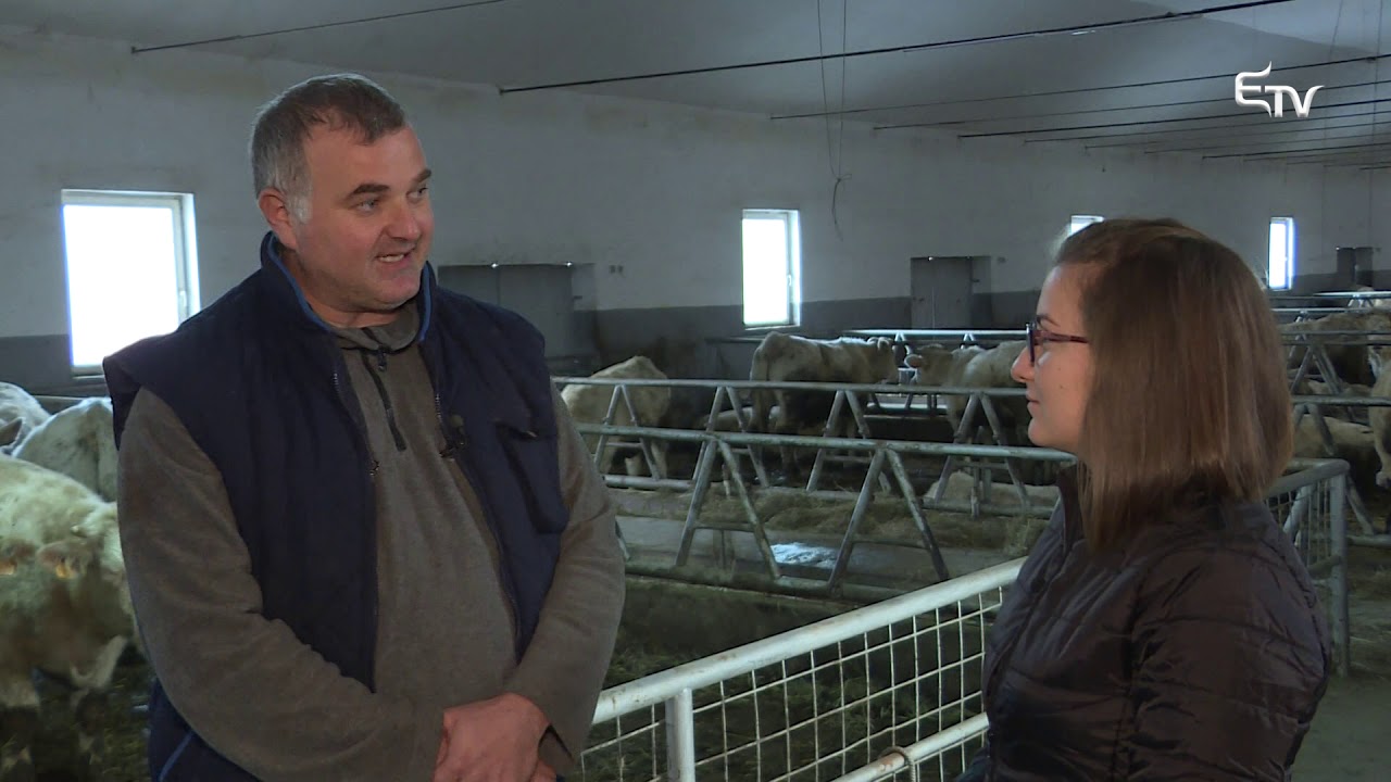 Tájkép: juh és húsmarha tartás, székely titok – 2018. december 24.