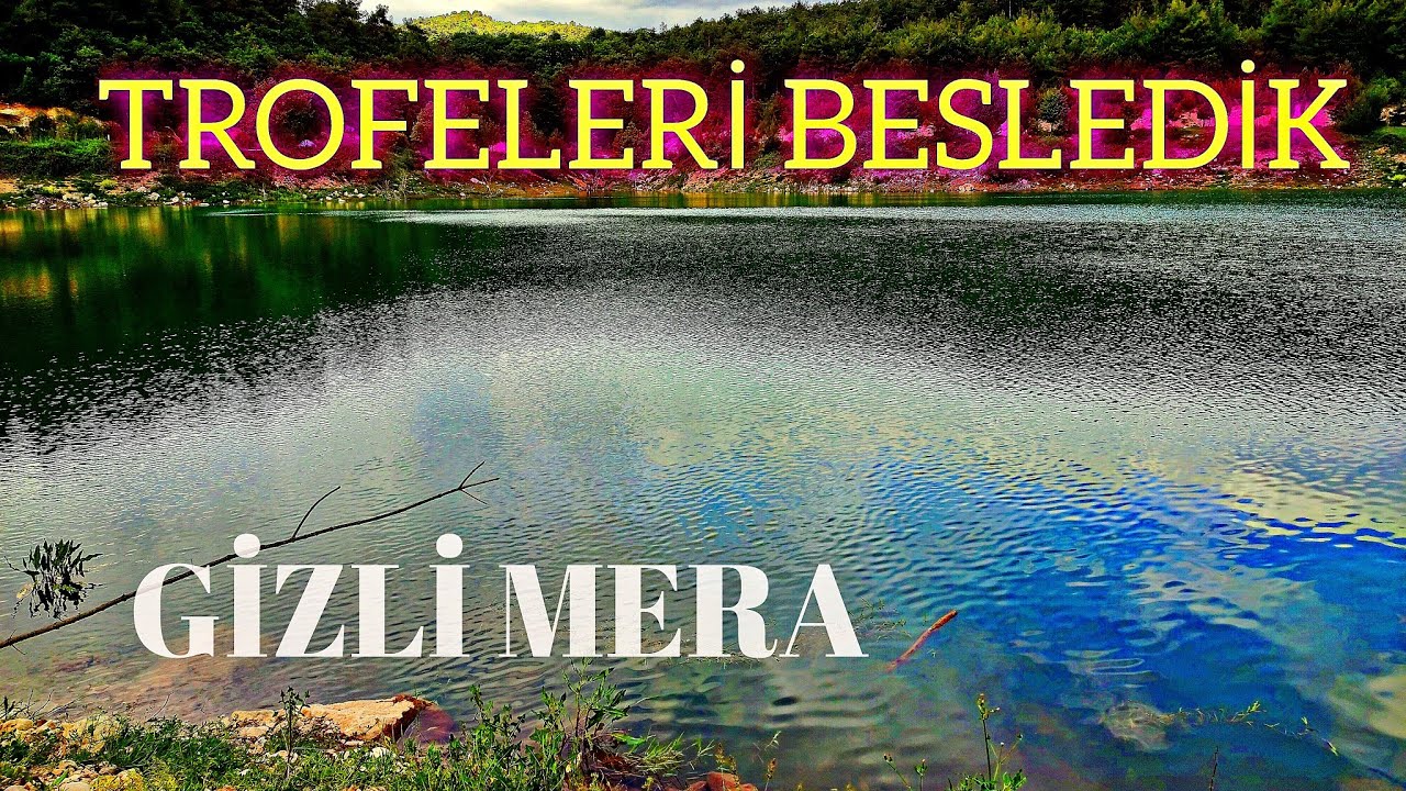TROFELERİ DOYURMAYA GİTTİK#fishing #carp #balık #sazanyemleme