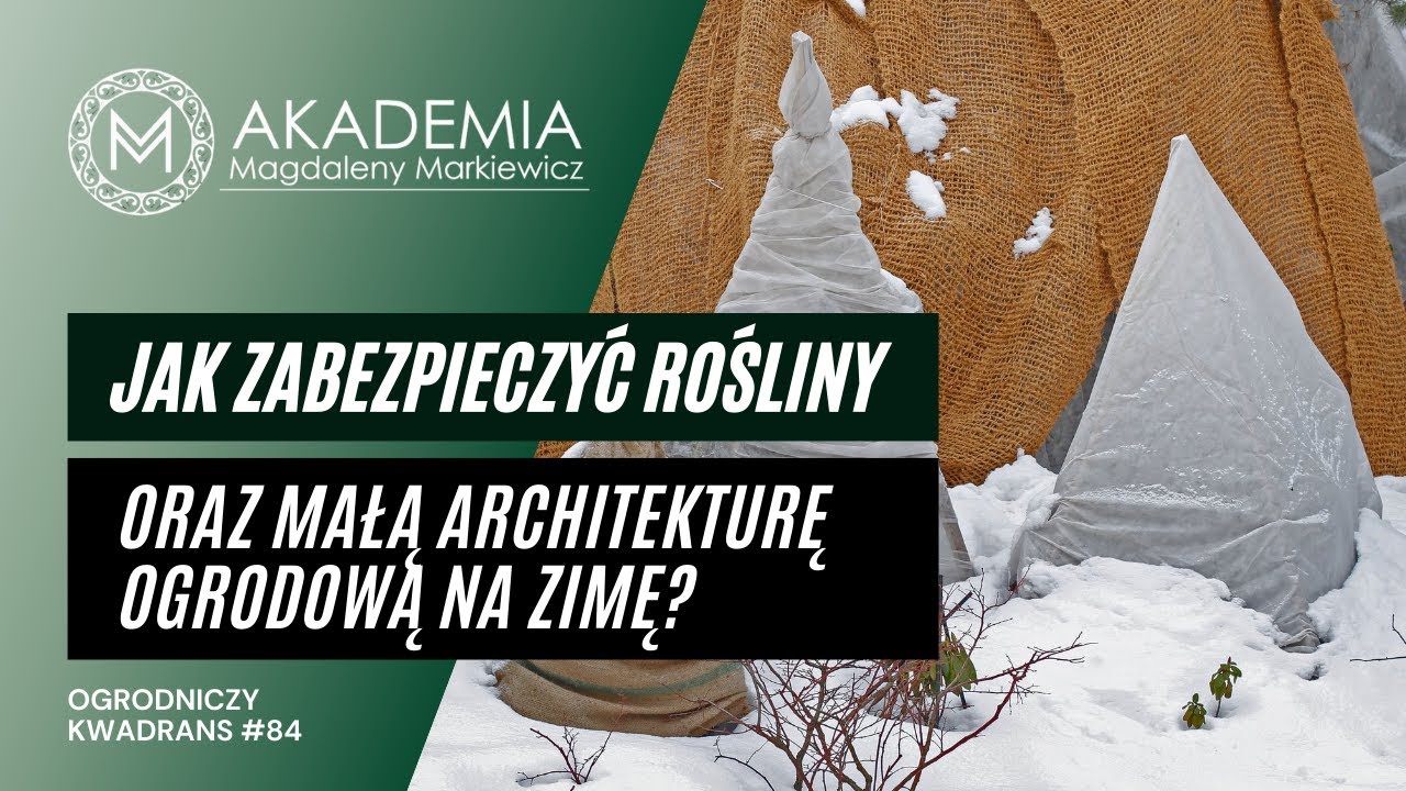 Ogrodniczy Kwadrans #84. Jak zabezpieczyć rośliny oraz małą architekturę ogrodową na zimę?