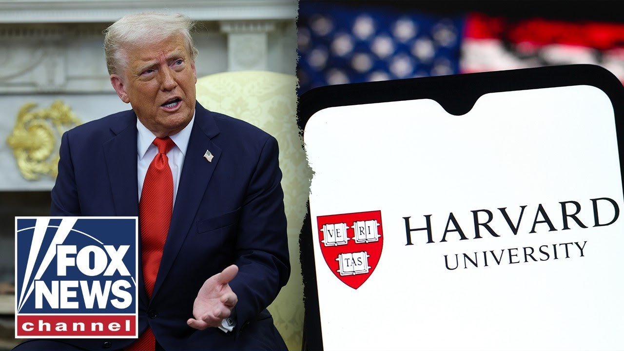 'PROPAGANDA MILLS': Harvard law professor emeritus argues the university is 'cheating'