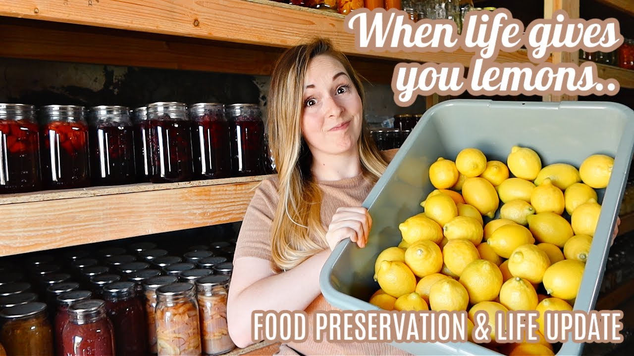 When Life Gives You Lemons... Food Preservation & Life Update | MEAL PREP LARGE FAMILY MEALS