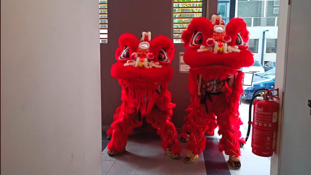 God of Prosperity with Lion Dance learn Tae Kwan Do