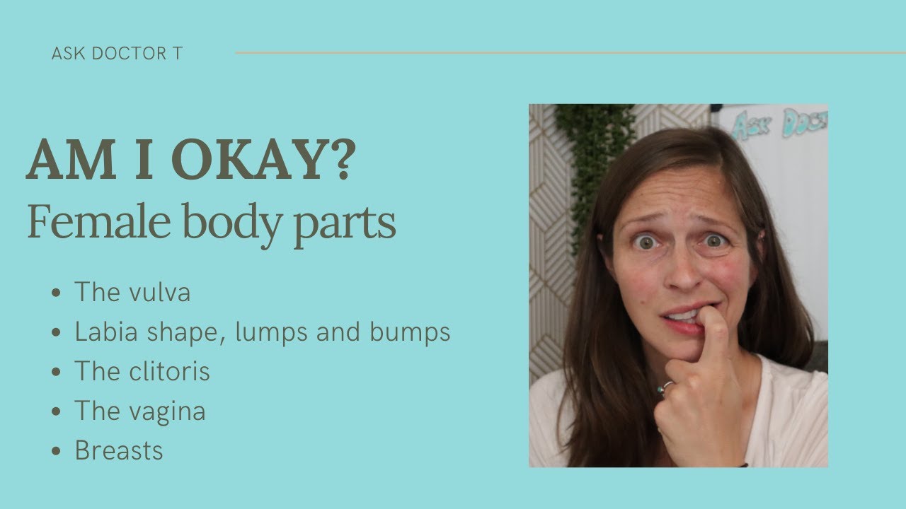 Am I okay? Female body parts round