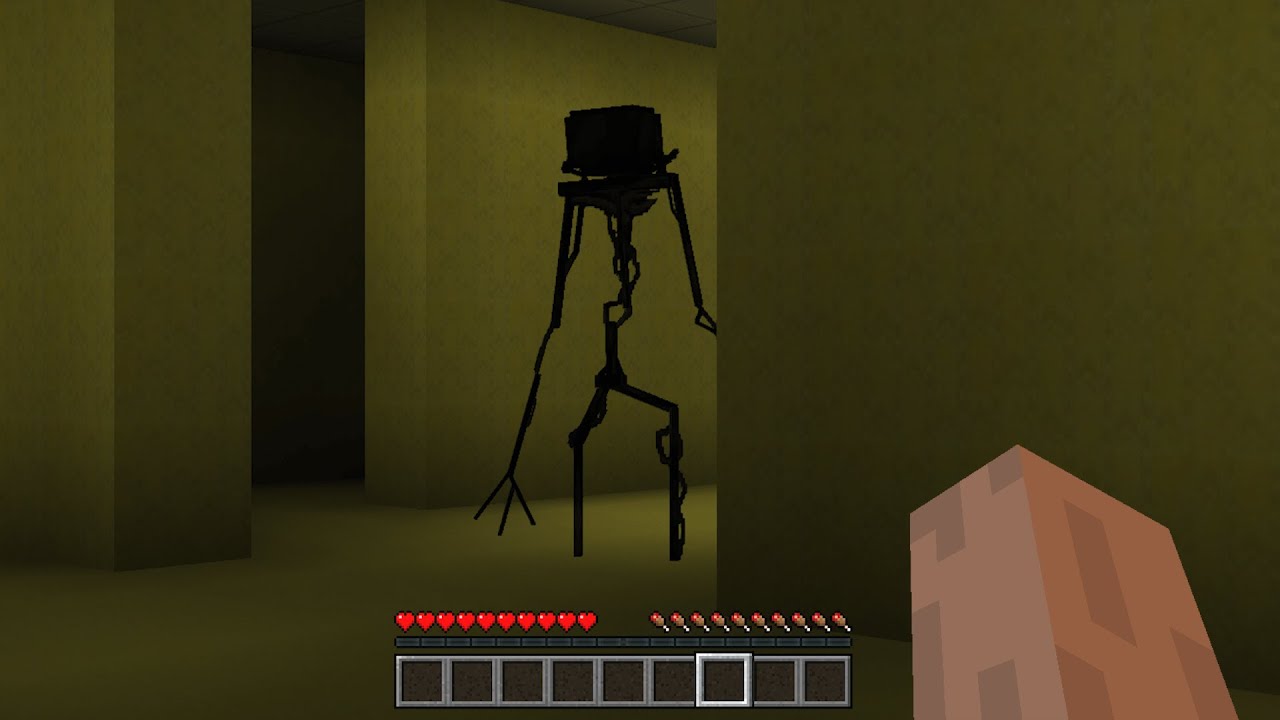 The Minecraft Backrooms (Found Footage)