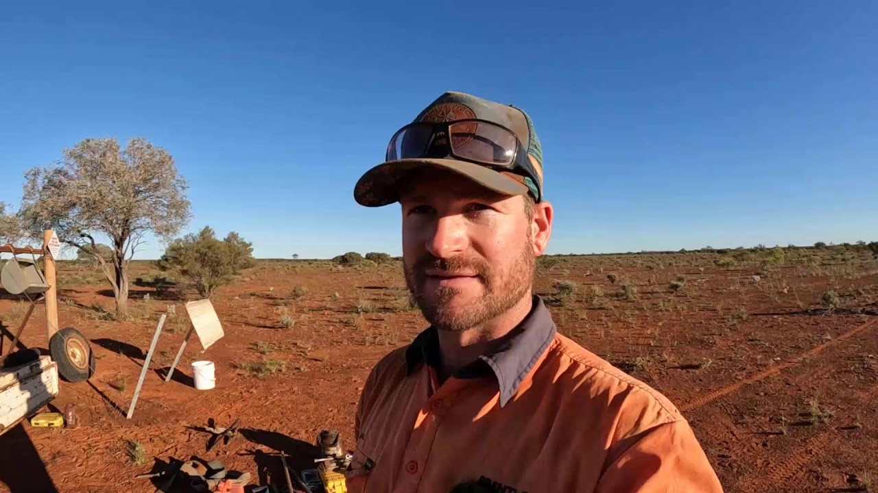 Tidying up after dog baiting and discussion