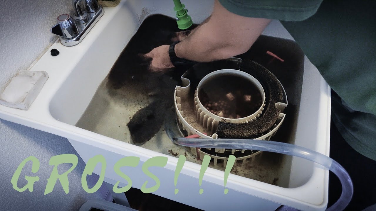 Fluval FX4 six months without cleaning