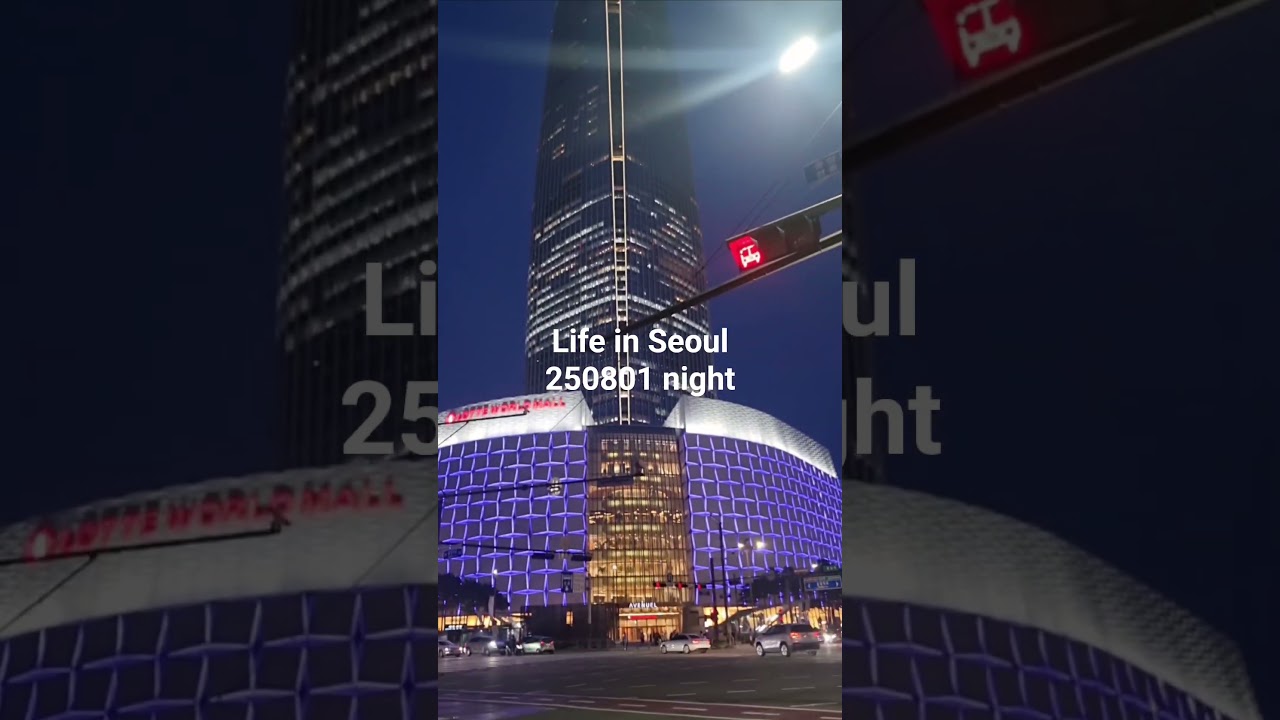#250801 #night #lifeinseoul #seoulview #travel #seoul #dailyvlog #seoulnightview #seoulweather