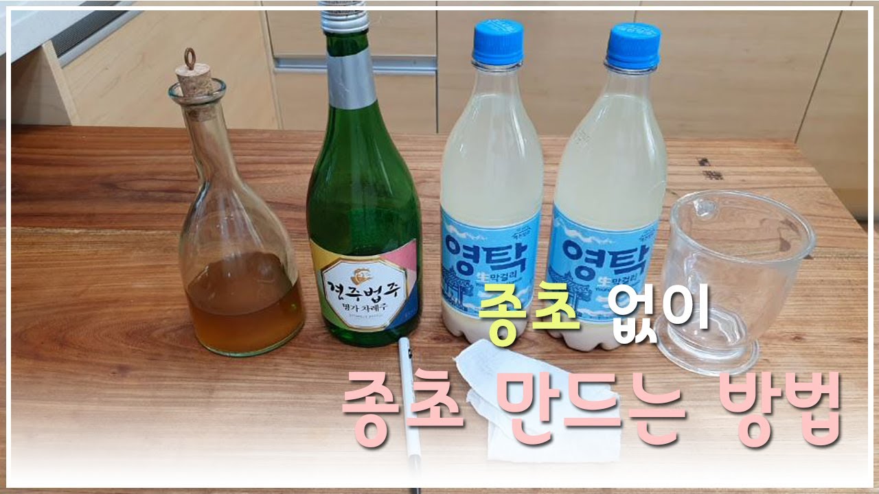 시판 막걸리로 종초 만들때 실패의 원인과 성공 하는법 알려 드려요