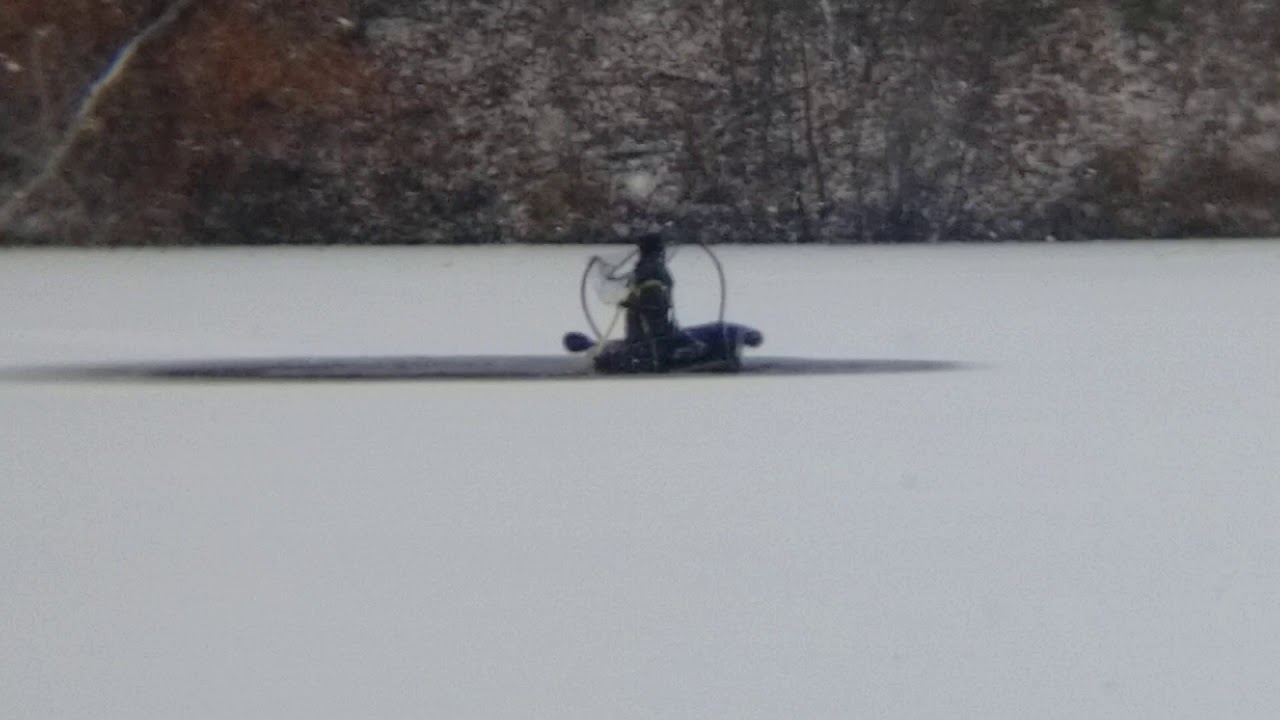 Baby Loon Rescue (The only open water)