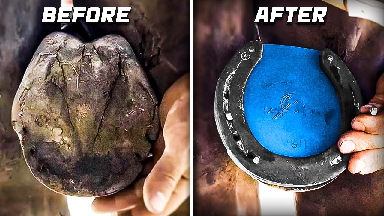 Horse Hoof Deep Clean and Restoration [Beautiful Results]