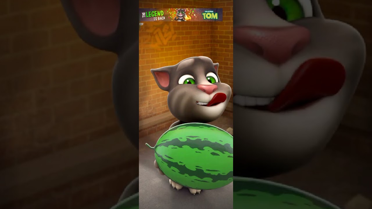 Talking Tom cat 