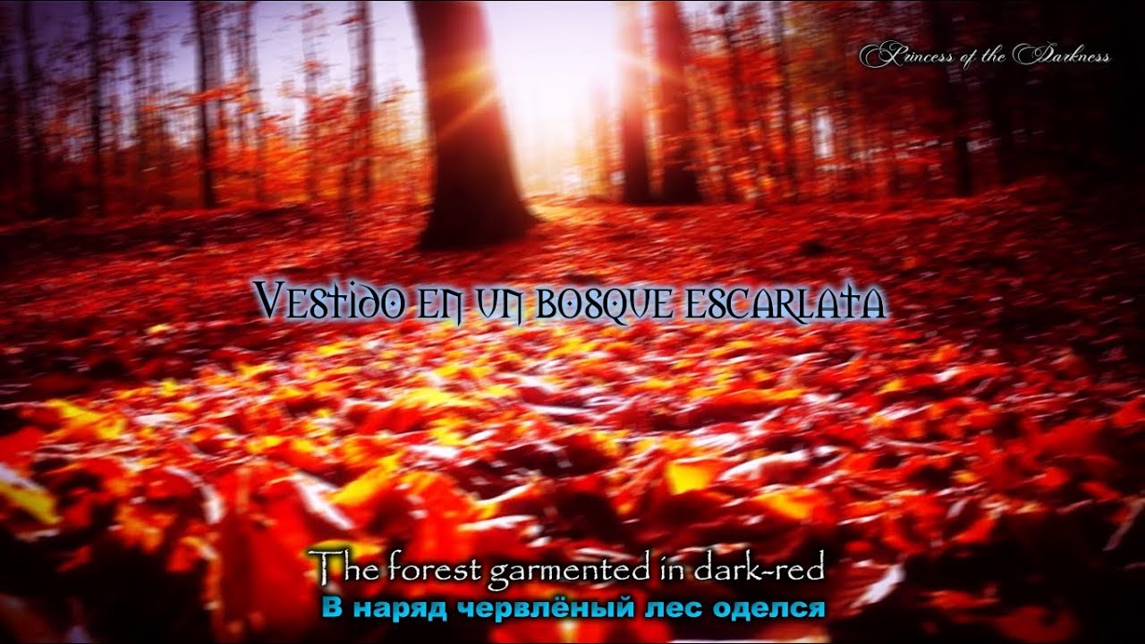 ELDERWIND🎧Волшебство природы (The Magic of Nature) (Lyrics Ruso/Español/English) 4K UHD