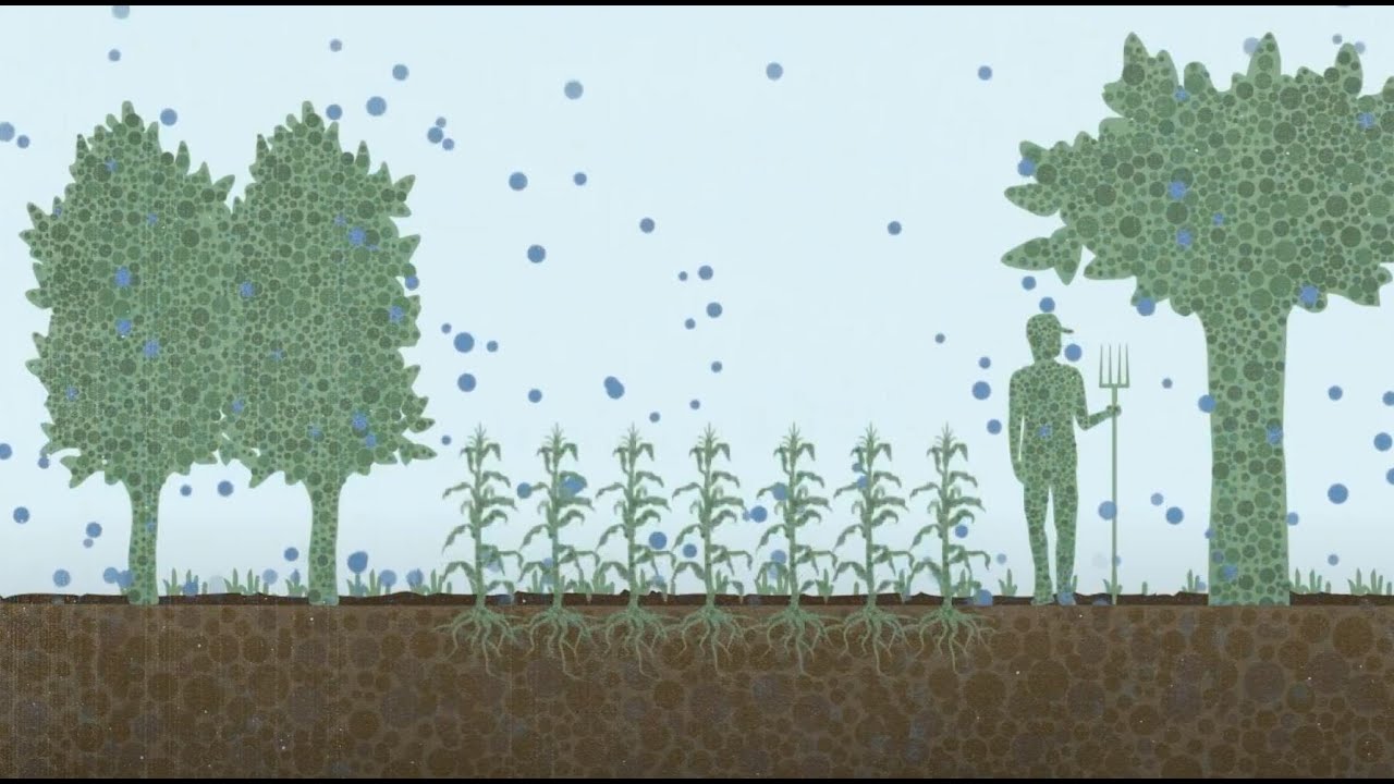 L'agriculture du carbone