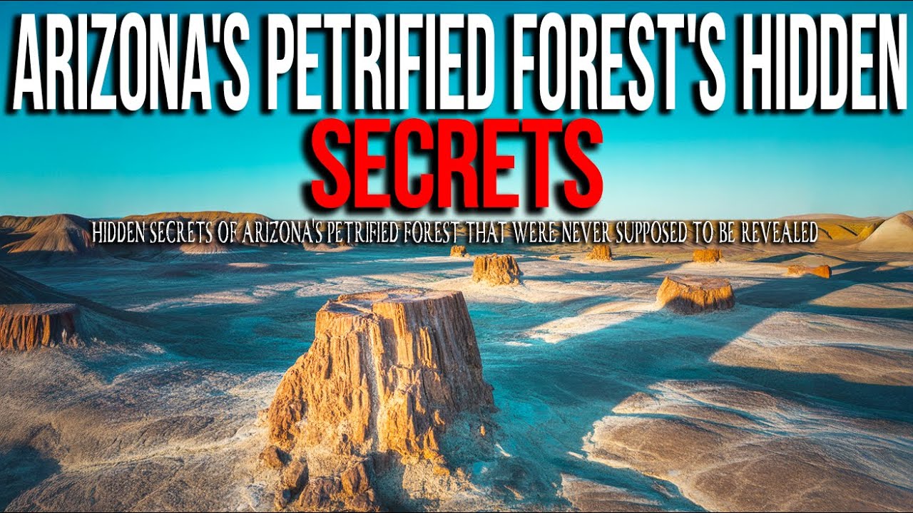 15 Mysteries from Arizona's Petrified Forest the World Wasn't Supposed to Know
