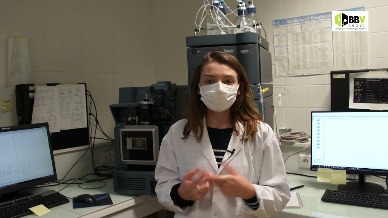 Présentation de l'équipe Biomolécules et Biotechnologies Végétales