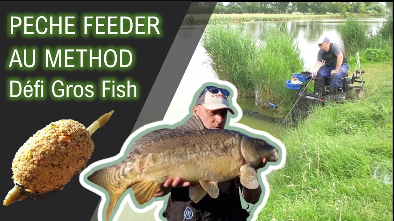 🎥🎞Pêche feeder au method, défi gros poissons, stratégies, postes, appâts: all fishs🤟💪