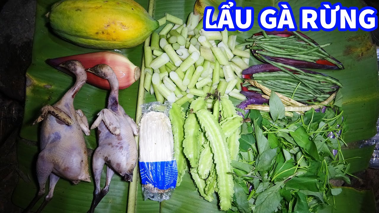 SĂN GÀ RỪNG, NỒI LẨU GÀ TRONG RỪNG, NGỦ RỪNG, TRẢI NGHIỆM HOANG DÃ | T13