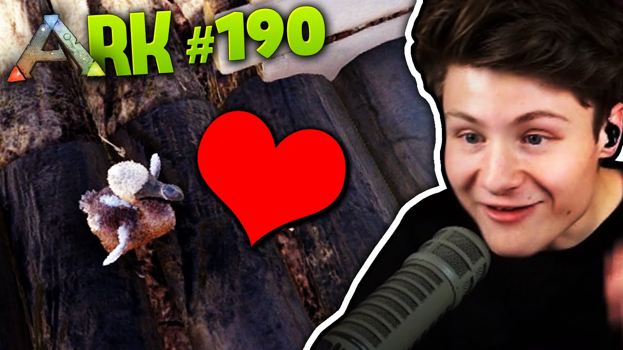 ARK #190 | IZZI & ICH WERDEN VATER! | Dner & izzi