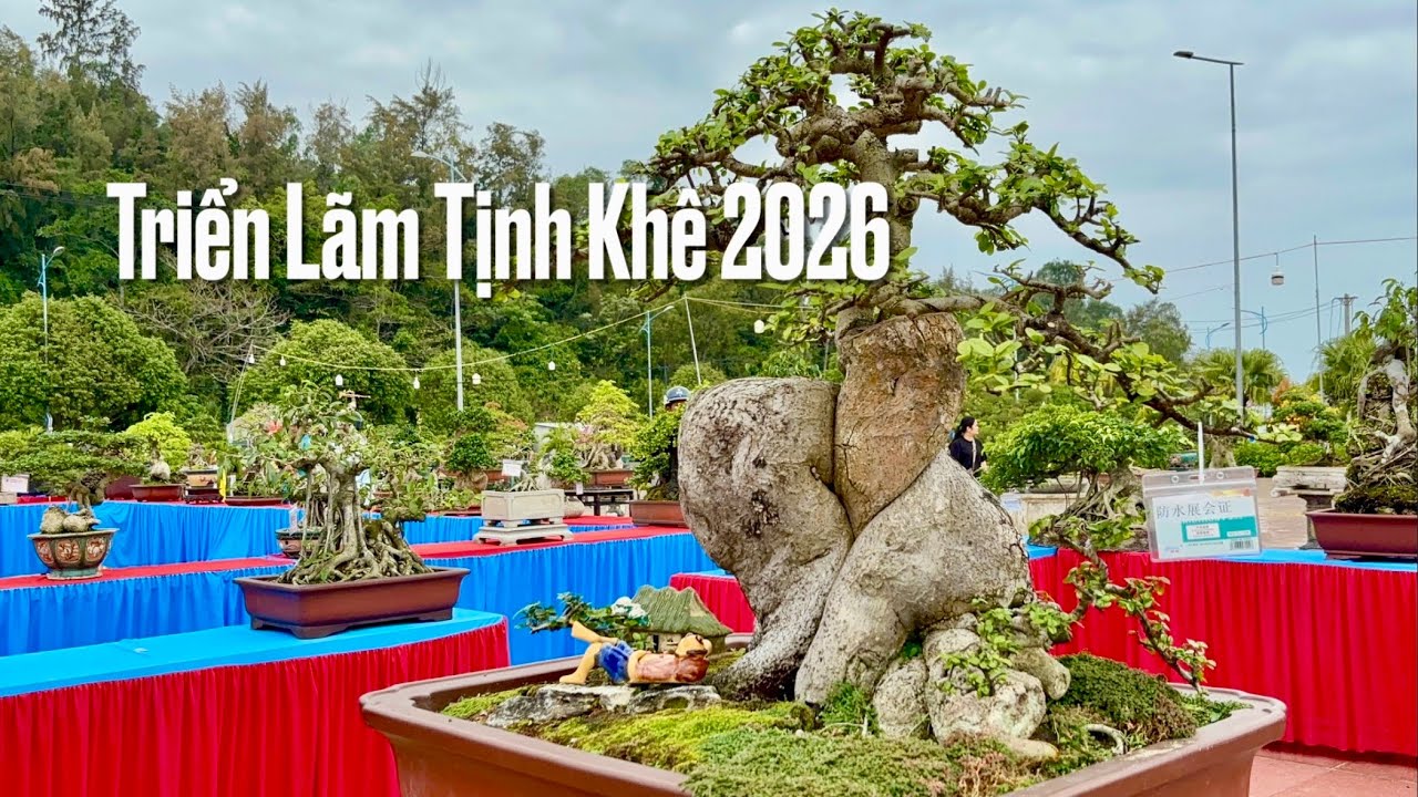 Triển lãm cây cảnh nghệ thuật xã Tịnh Khê đầu xuân Bính Ngọ 2026!