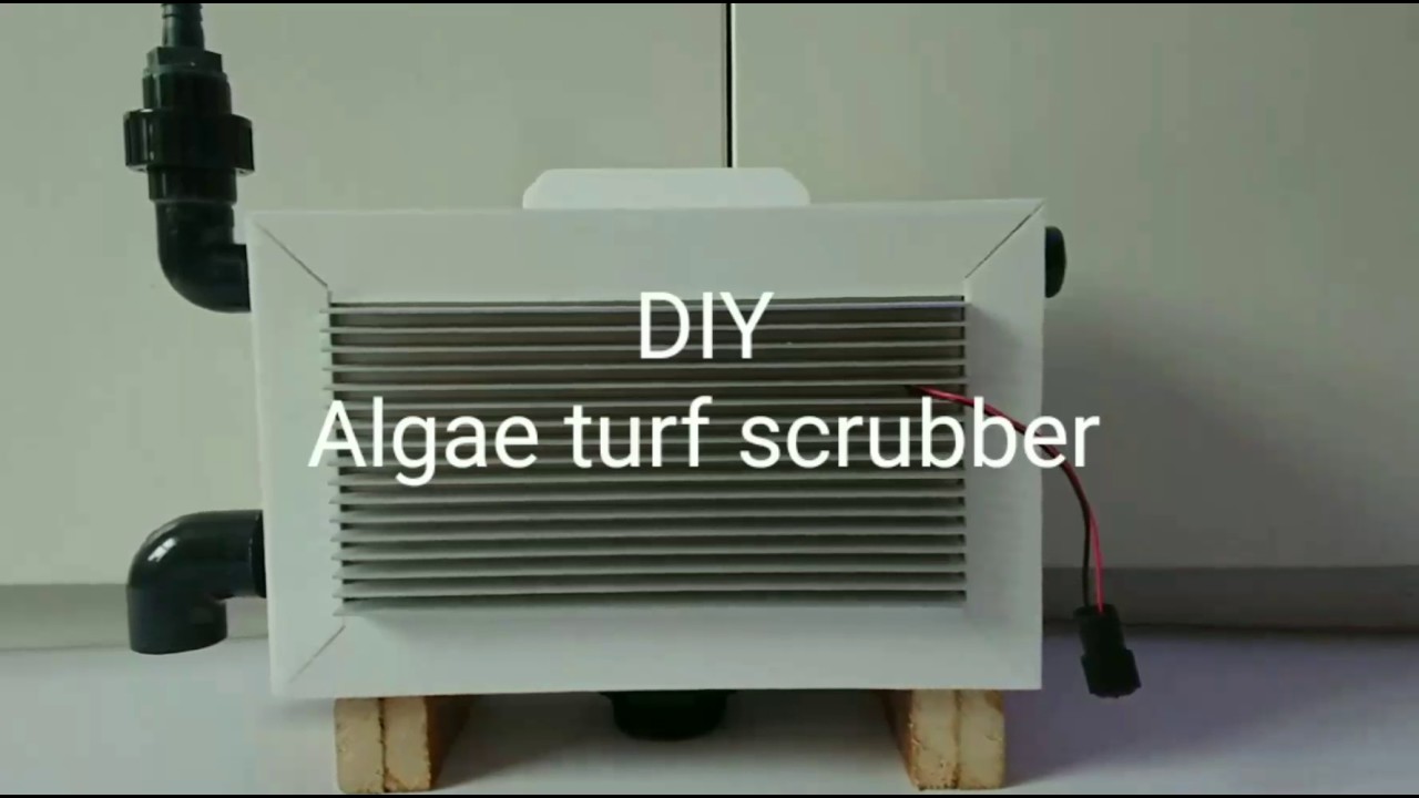 DIY Algae Turf Scrubber