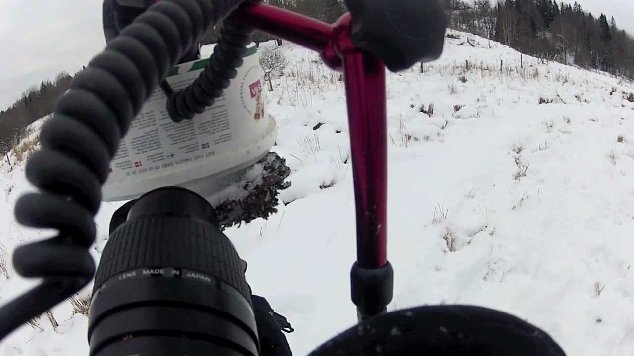 Sub-zero bug shooting ||&nbsp;Makrofotografering under nollan