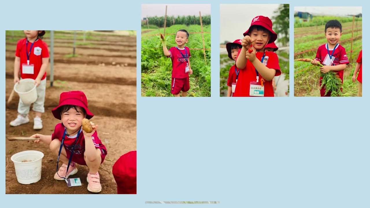 Video tổng kết năm học 2023-2024 lớp Bambi A1