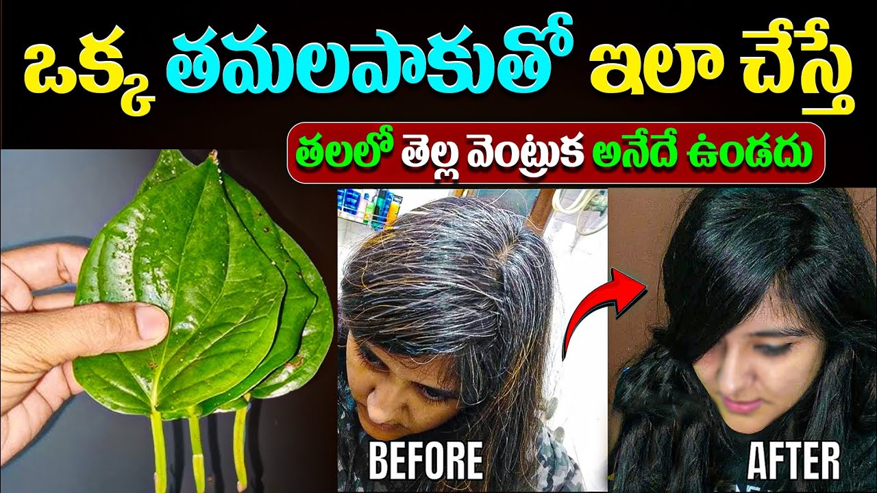 ఒక్క తమలపాకుతో ఇలాచేస్తే తలలో తెల్ల వెంట్రుక అనేదే ఉండదు | Betel Leaf Uses For White Hair | Ksk Home