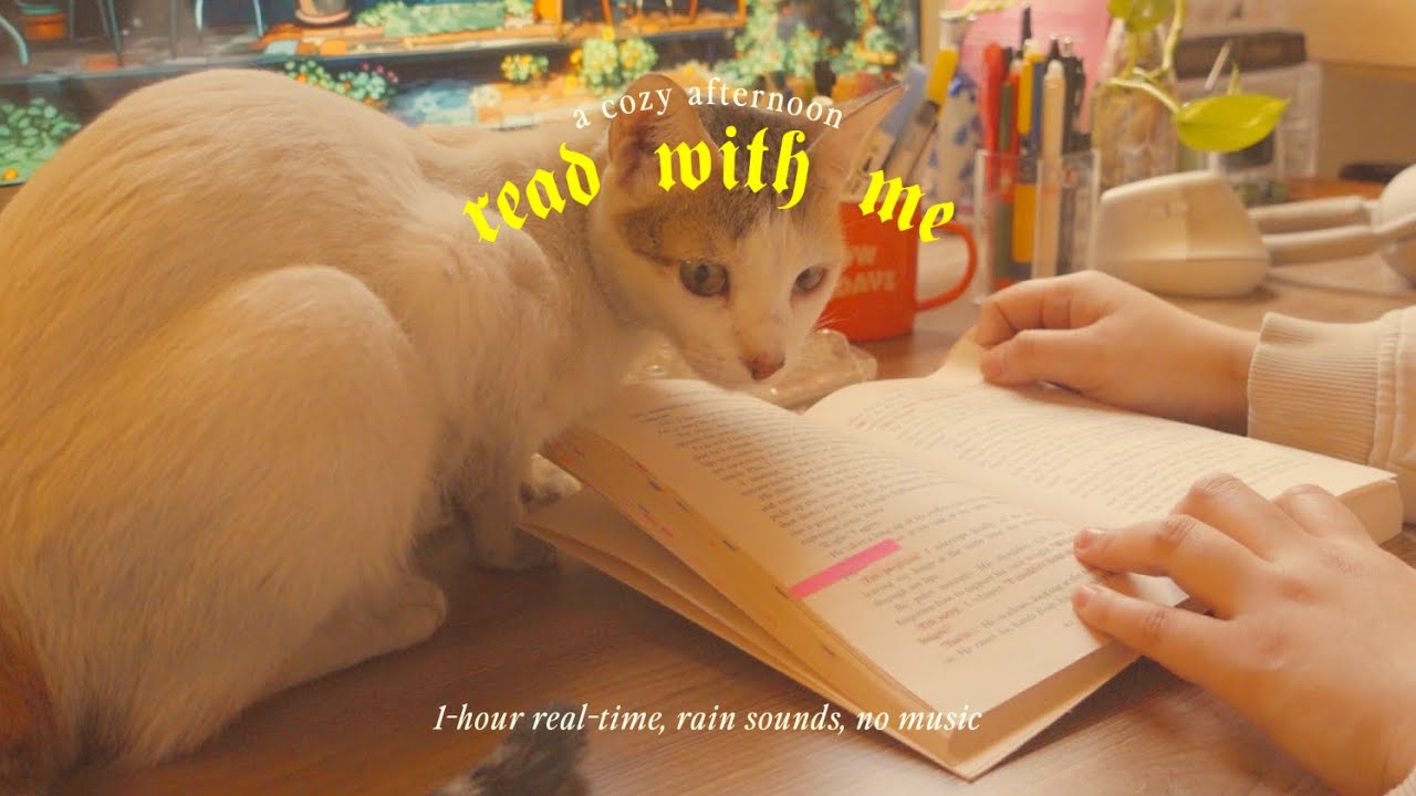 a cozy afternoon read with me ☕ 1-hour real-time, rain sounds, no music | out on a limb