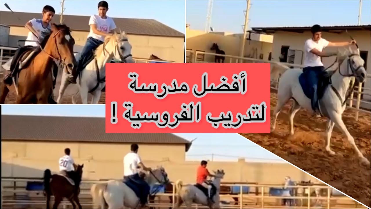 ودك تتعلم ركوب الخيل ؟🤩😍