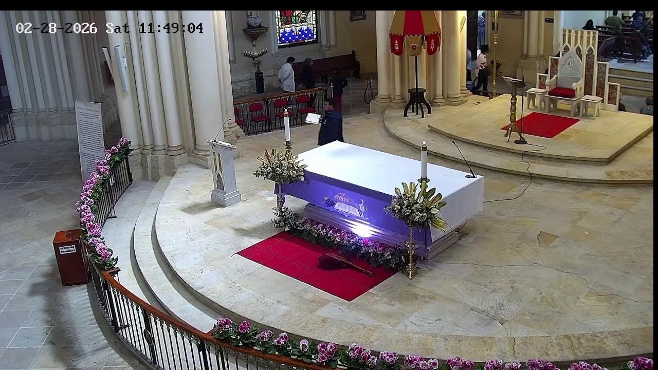 Transmisión Eucaristía Basílica de Lourdes   2026